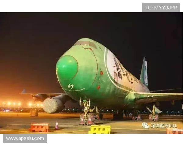 波音平台的环境可持续发展策略与绿色航空技术实践 波音平台的环境可持续发展策略与绿色航空技术实践